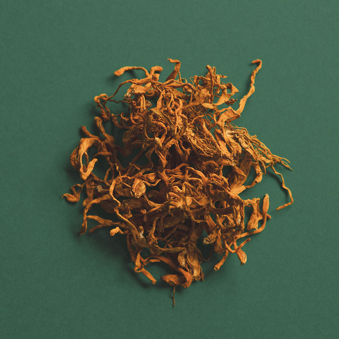 CORDYCEPS HONEY PEARLS-1