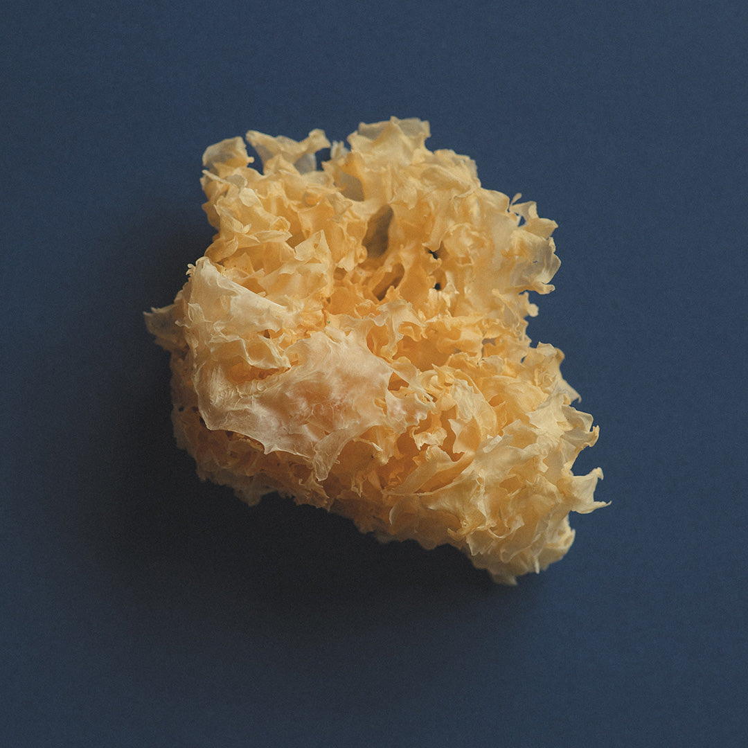 TREMELLA HONEY PEARLS-1